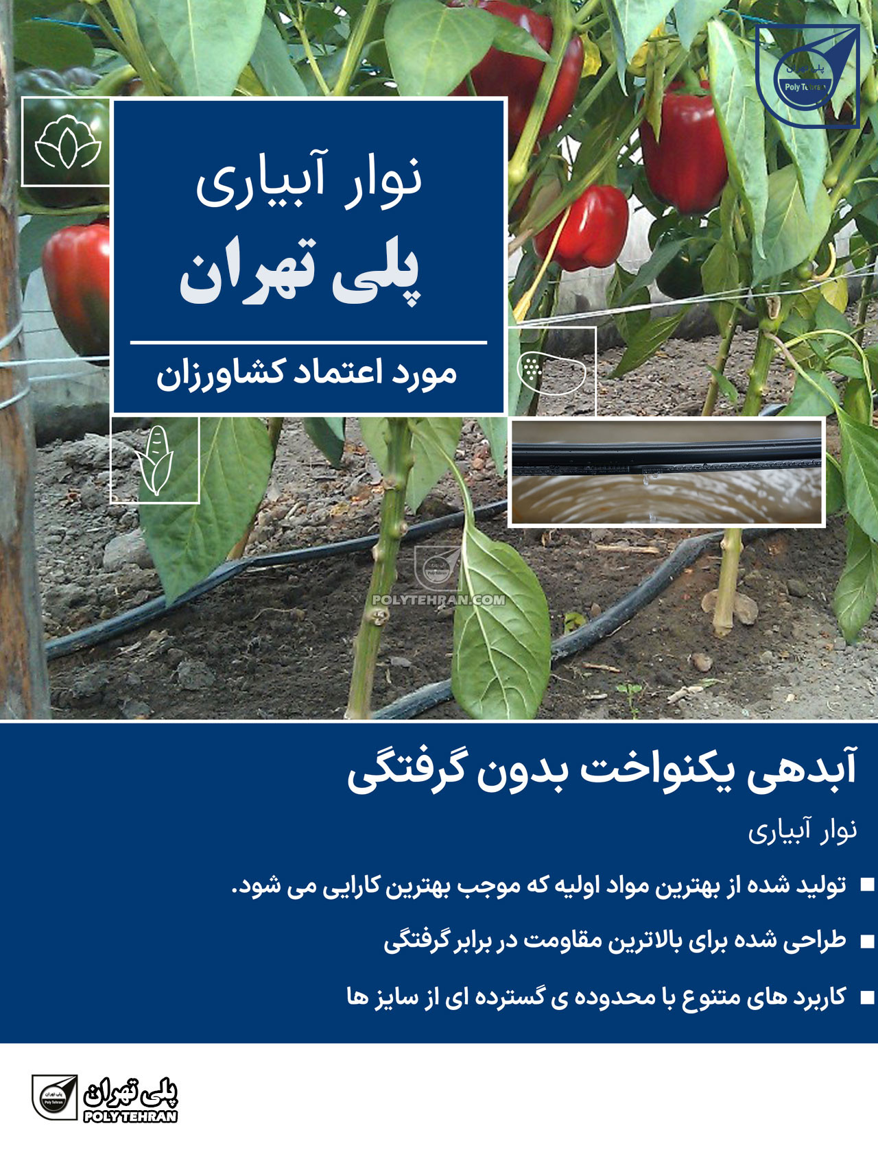 تصویر و توضیحات نوار آبیاری قطره ای