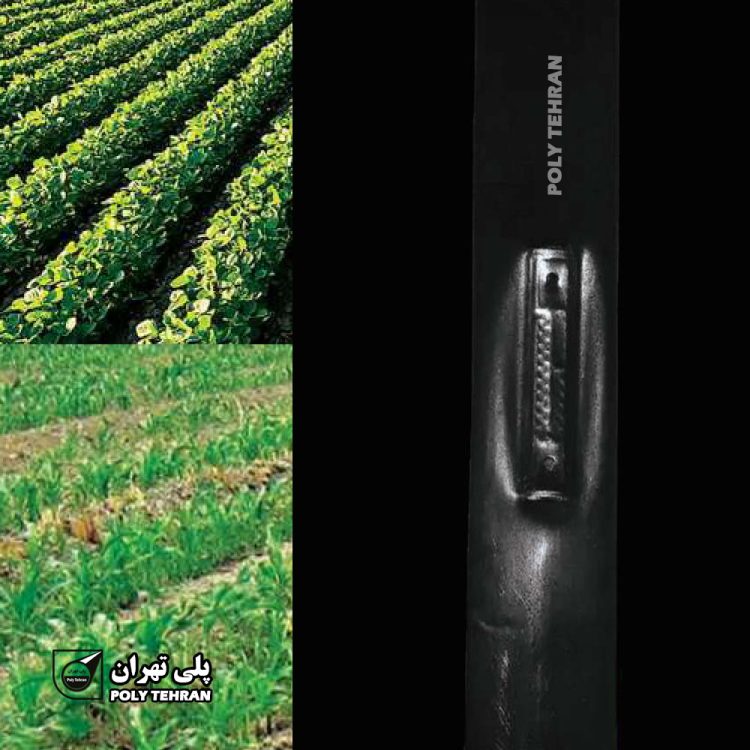 نوار پلاک دار آبیاری قطره ای